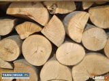 Drewno opałowe I kominkowe  - Obrazek 1