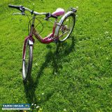Rower damka dla dziewczynki - Obrazek 1
