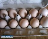 Jajka od szcześliwych kur - Obrazek 2