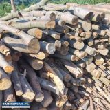 Drewno bukowe - Obrazek 1
