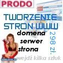 Wykonanie strony internetowej  - Obrazek 1