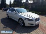 Jaguar XF - auto do ślubu, lim - Obrazek 1