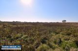 Działka rolna 1.2 ha - Obrazek 3