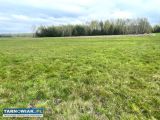 Działka - Luszowice - Obrazek 4