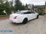 Jaguarem do ślubu - Obrazek 1