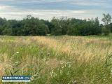Działka - Dąbrowa Tarnowska - Obrazek 1