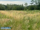 Działka - Dąbrowa Tarnowska - Obrazek 1
