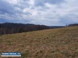 Wola Lubecka działka 1,20 ha - Obrazek 2