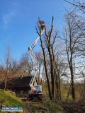 Wycinka drzew -zwyżka 20m/25m - Obrazek 2