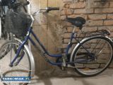 rower damka - Obrazek 1