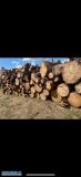 Drewno opałowe w metrówkach  - Obrazek 1