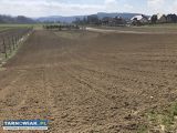 Glebogryzarka separacyjna - Obrazek 3