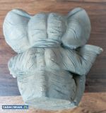 Słoń Trąbalski figurka - Obrazek 2