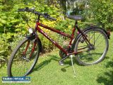 Rower damski 26 i 24 cale. - Obrazek 1