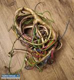 Wiązka elektryczna prawdopodobnie pralki predom  - Obrazek 1