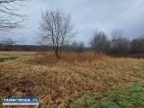 Przyborów działka 33 ar - Obrazek 3