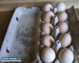 Jajka wiejskie najtaniej 1 zł - Obrazek 1