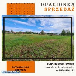 Opacionka działka 13 ar - Obrazek 1
