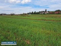 Opacionka działka 13 ar - Obrazek 2