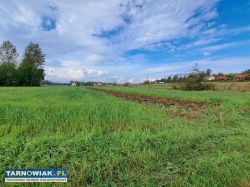 Opacionka działka 13 ar - Obrazek 4