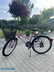 Rower górski dla dziewczynki - koła 24 - Obrazek 1