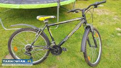 Rower 26 Bergsteiger Denver rama 19 cali - Obrazek 1