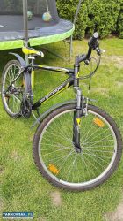 Rower 26 Bergsteiger Denver rama 19 cali - Obrazek 4