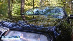 Polerowanie lakieru - Obrazek 3