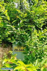 Działka budowlana Bielcza- gmina Borzęcin! - Obrazek 4