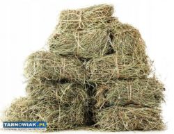 Sprzedam siano z własnego gospodarstwa dla królikó - Obrazek 2