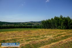 Działka rolno-budowlana w Gromniku! - Obrazek 1