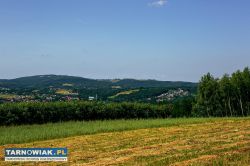 Działka rolno-budowlana w Gromniku! - Obrazek 4