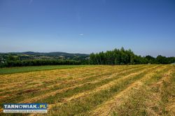 Działka rolno-budowlana w Gromniku! - Obrazek 3