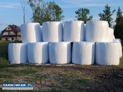 Sprzedam siano i siano kisząnke - Obrazek 1