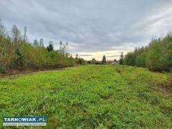 Wierzchsławice dom + 58 arów - Obrazek 3