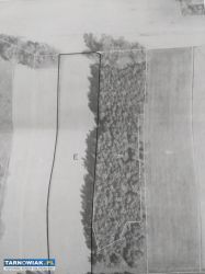 Sprzedam działkę rolno budowlaną - Obrazek 1