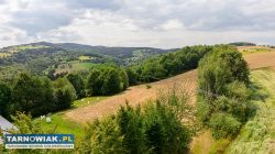 54 ar w Paleśnicy - Obrazek 2