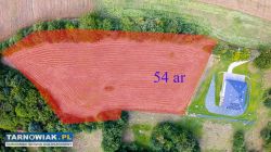 54 ar w Paleśnicy - Obrazek 4