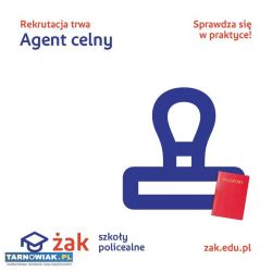 Agent celny - Obrazek 1