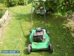 Kosiarka spalinowa niemiecka. - Obrazek 1