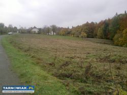 Działka budowlana 45a Dąbrówka Szczepanowska - Obrazek 4