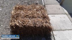 Sprzedam sloma - Obrazek 1