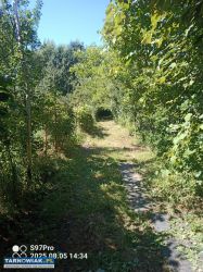 Działka budowlana Wola Rzędzińska - Obrazek 2