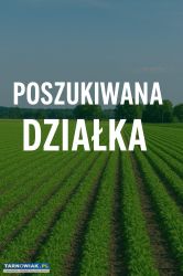 Poszukiwana działka widokowa! - Obrazek 1