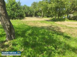 Działka w Janowicach - Obrazek 1