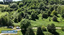 Działka rolna 90 arów w gm Jodłowa, powiat dębicki - Obrazek 3