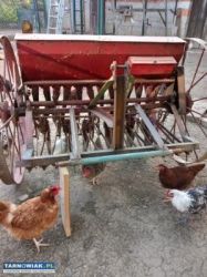 Sprzedam siewnik - Obrazek 3