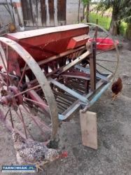Sprzedam siewnik - Obrazek 2
