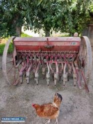 Sprzedam siewnik - Obrazek 1