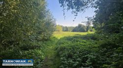 Lipinki- 210 m2 - Obrazek 2